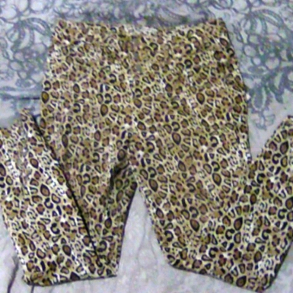 Animal print pants